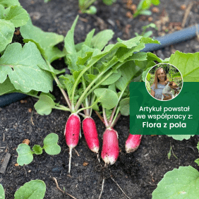 Porada1c.png